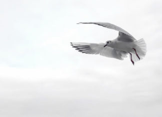 “ 태초에∙∙∙”