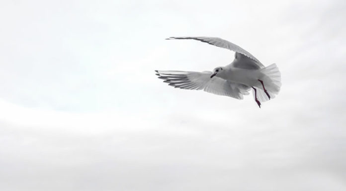 “ 태초에∙∙∙”