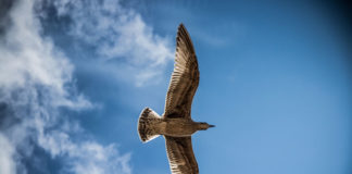 선교? 나와는 상관이 없는 것인가?