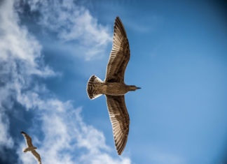 선교? 나와는 상관이 없는 것인가?