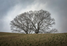 광야, 시험과 고난 통해 하나님을 만나는 곳