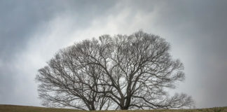 광야, 시험과 고난 통해 하나님을 만나는 곳