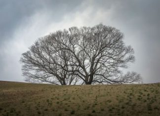 광야, 시험과 고난 통해 하나님을 만나는 곳