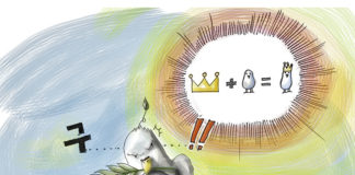 머리를 쓰는 비둘기