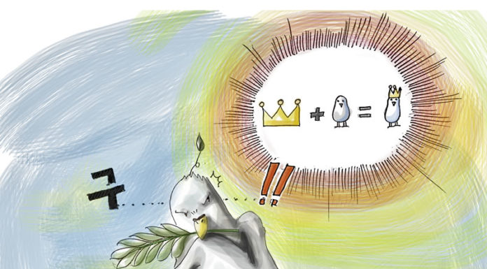 머리를 쓰는 비둘기