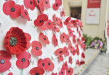 뉴질랜드 안작데이