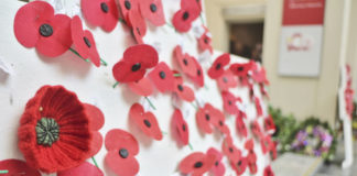 뉴질랜드 안작데이