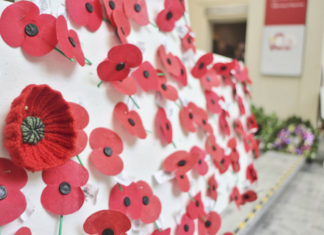 뉴질랜드 안작데이