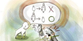 독수리가 비둘기로 될 수 있다면