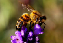 당 떨어지셨나요?