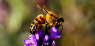 당 떨어지셨나요?