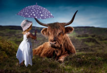 뉴욕, 런던 바알 신전 관물 전시 계획 취소