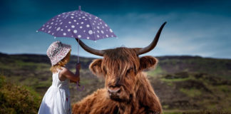 뉴욕, 런던 바알 신전 관물 전시 계획 취소