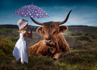 뉴욕, 런던 바알 신전 관물 전시 계획 취소