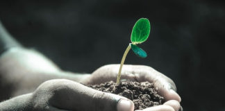 선교, 나와는 상관이 없는 것인가 2