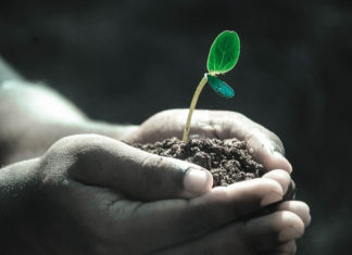 선교, 나와는 상관이 없는 것인가 2