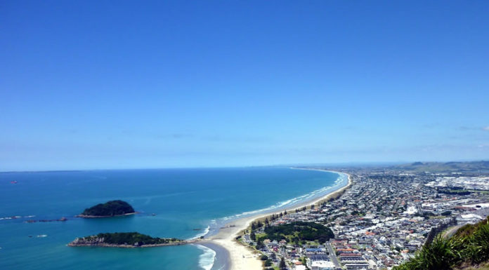 “있잖아, 있잖아. 거 있잖아……”