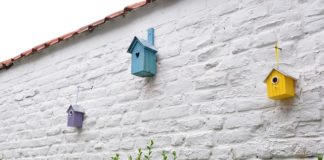 빈둥지 이후에 어떻게 활력을 찾으며 살 것 인가?