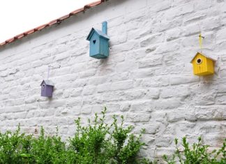 빈둥지 이후에 어떻게 활력을 찾으며 살 것 인가?