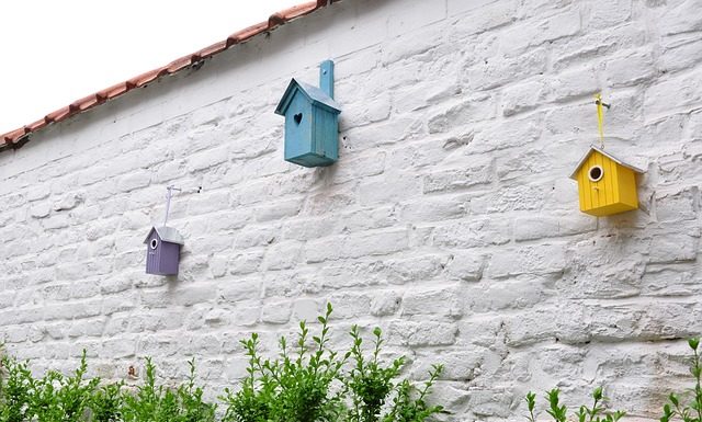 빈둥지 이후에 어떻게 활력을 찾으며 살 것 인가?