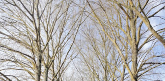 우리 가을여행 가자