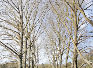 우리 가을여행 가자