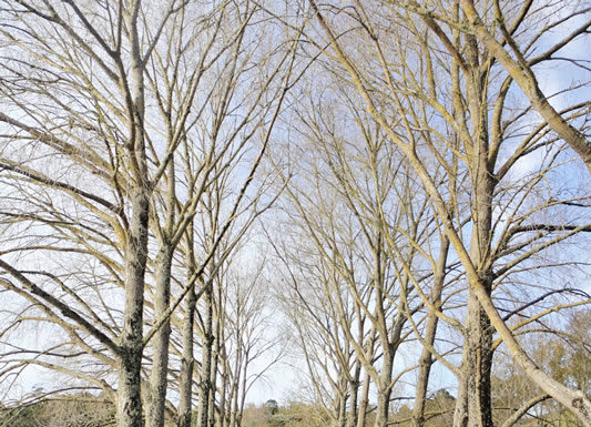 우리 가을여행 가자