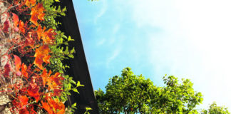 그곳에 가고 싶다, 마타카나