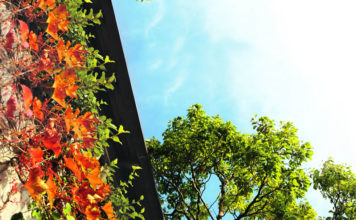 그곳에 가고 싶다, 마타카나