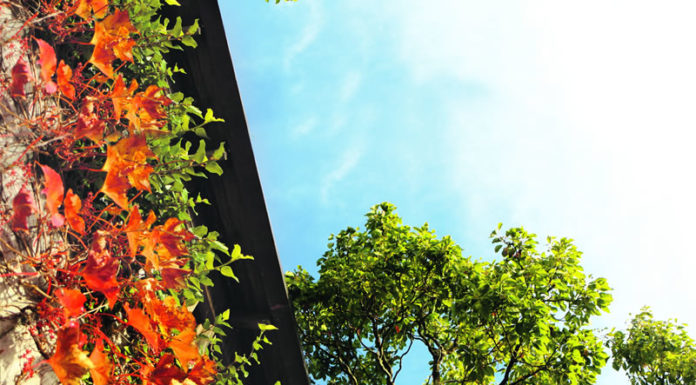 그곳에 가고 싶다, 마타카나