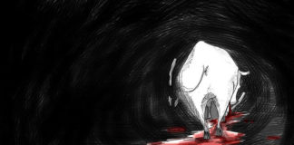 누가 이웃인가?