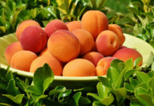 살아내는 신앙이어야 합니다