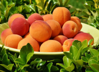 살아내는 신앙이어야 합니다