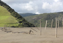 한 해의 절반이 지났을 때