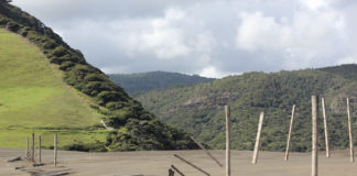 한 해의 절반이 지났을 때