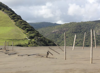 한 해의 절반이 지났을 때