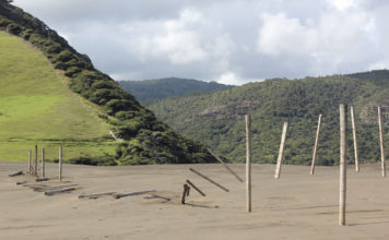 한 해의 절반이 지났을 때