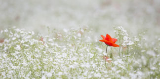 한우리문화센터, 텀3수강생.새싹학교.엄마랑아기랑 모집