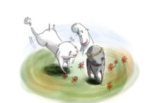 눈이 부시도록 예쁜 꽃