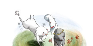 눈이 부시도록 예쁜 꽃