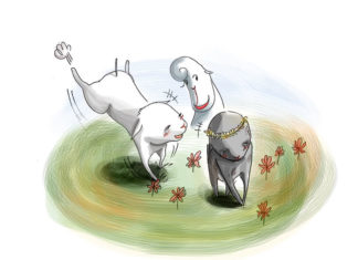 눈이 부시도록 예쁜 꽃