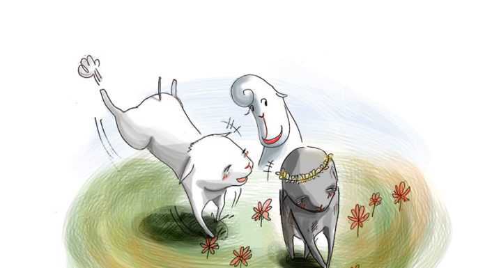 눈이 부시도록 예쁜 꽃