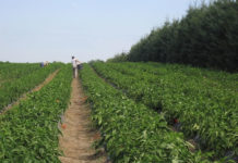 차세대에게 우리는 무엇을 보여주어야 할까?