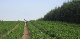 차세대에게 우리는 무엇을 보여주어야 할까?