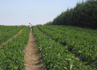 차세대에게 우리는 무엇을 보여주어야 할까?