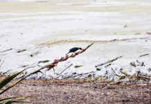 남쪽 땅끝까지 찾아가는 기도여행 다녀와