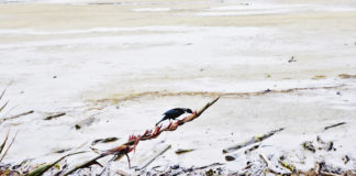 남쪽 땅끝까지 찾아가는 기도여행 다녀와