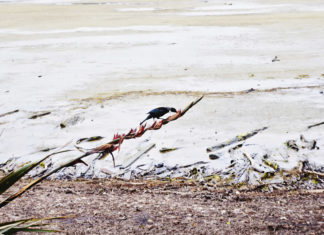 남쪽 땅끝까지 찾아가는 기도여행 다녀와
