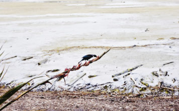 남쪽 땅끝까지 찾아가는 기도여행 다녀와