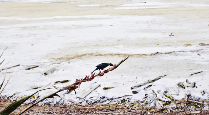 남쪽 땅끝까지 찾아가는 기도여행 다녀와